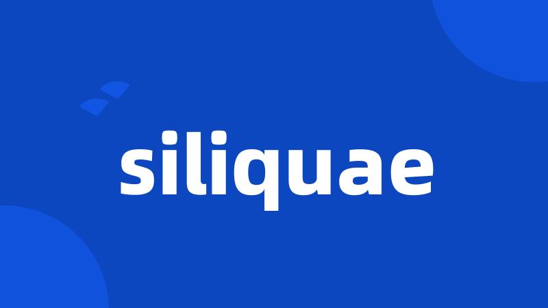 siliquae