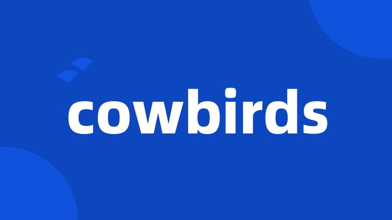 cowbirds