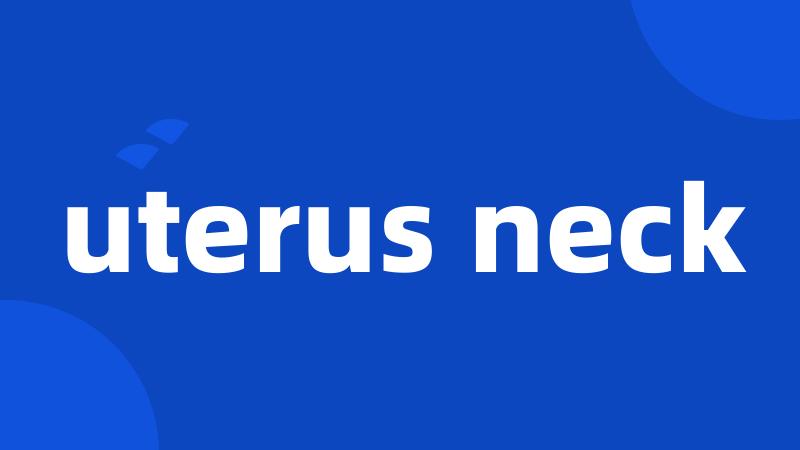 uterus neck