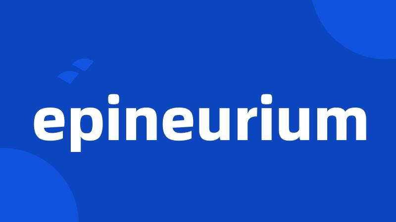 epineurium