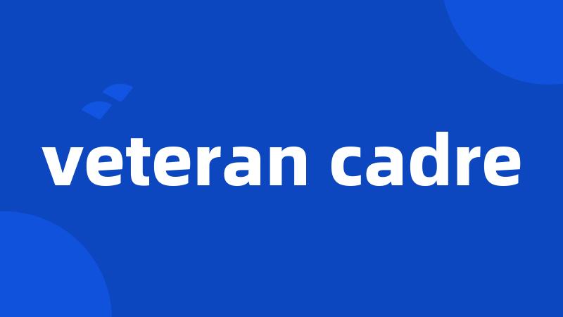 veteran cadre