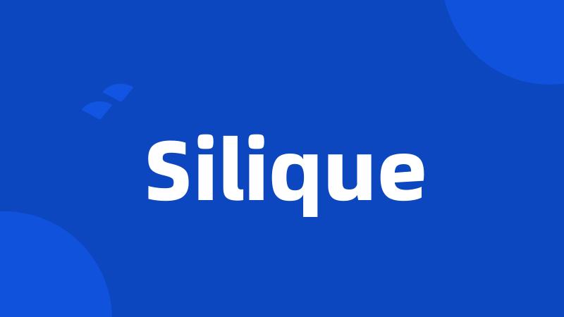 Silique