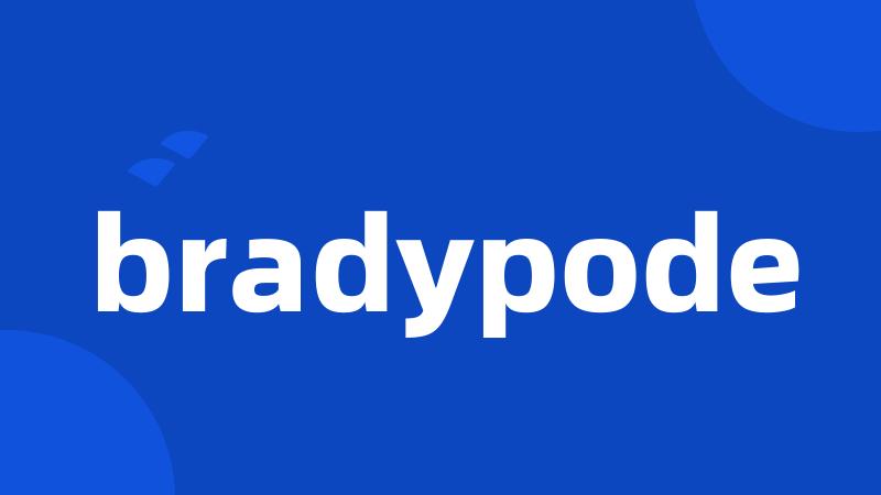 bradypode