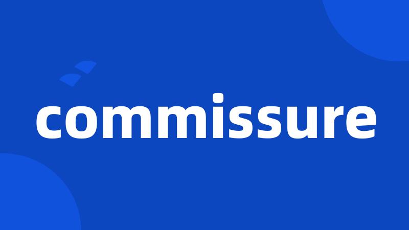 commissure