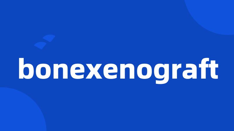 bonexenograft