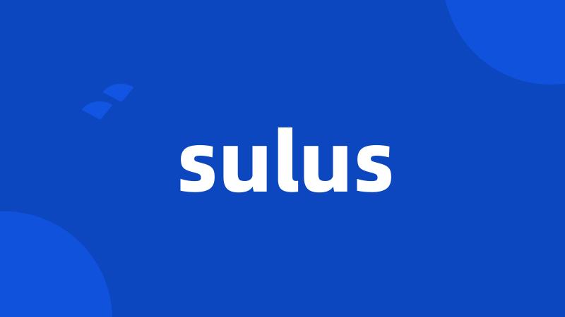 sulus