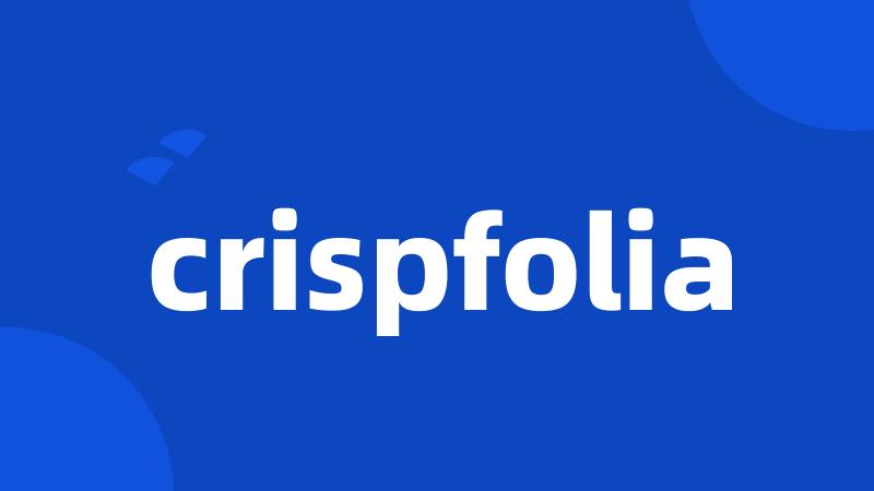 crispfolia