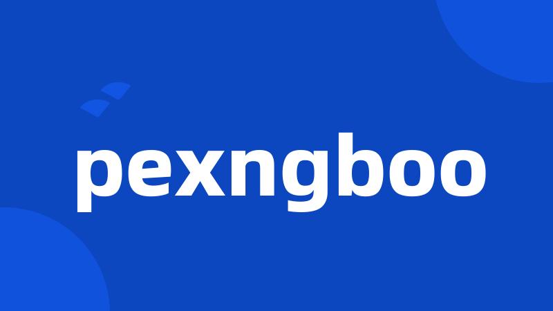 pexngboo