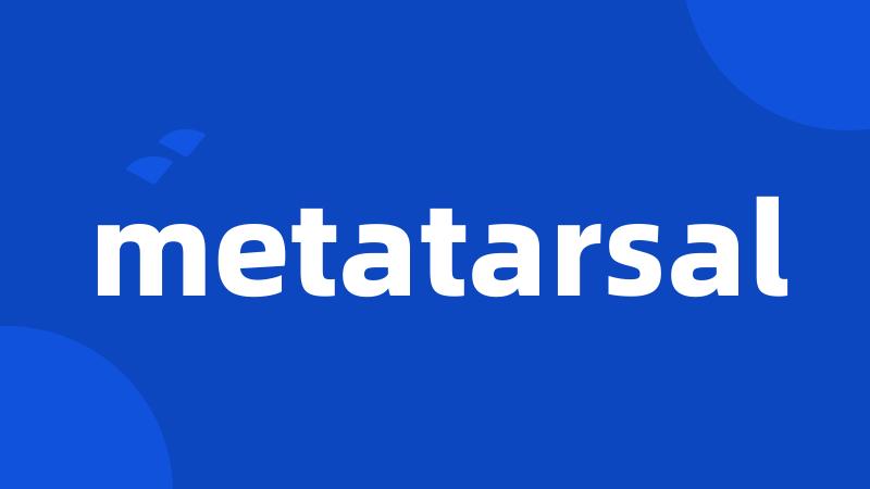 metatarsal