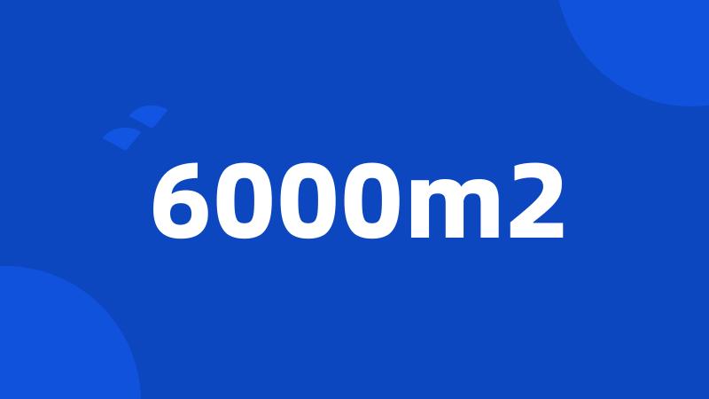 6000m2