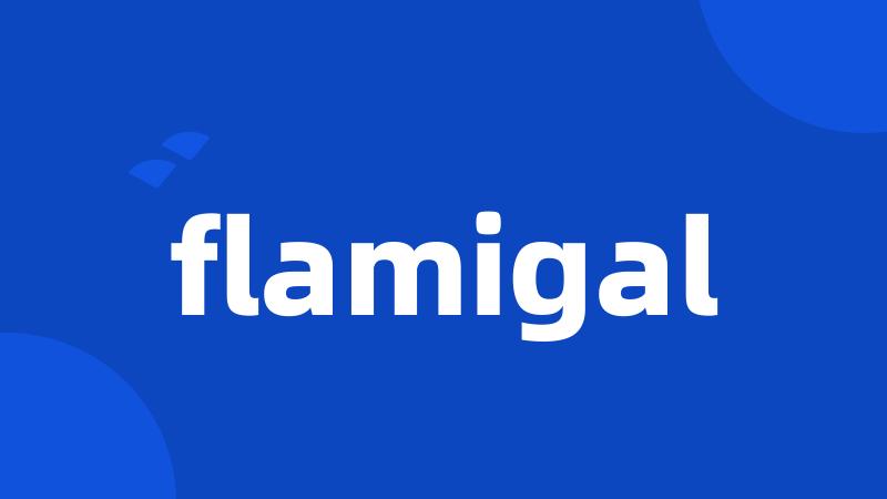 flamigal