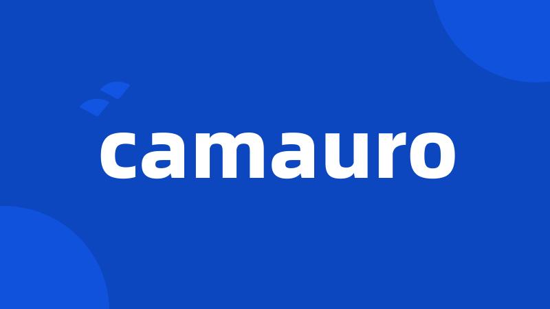 camauro