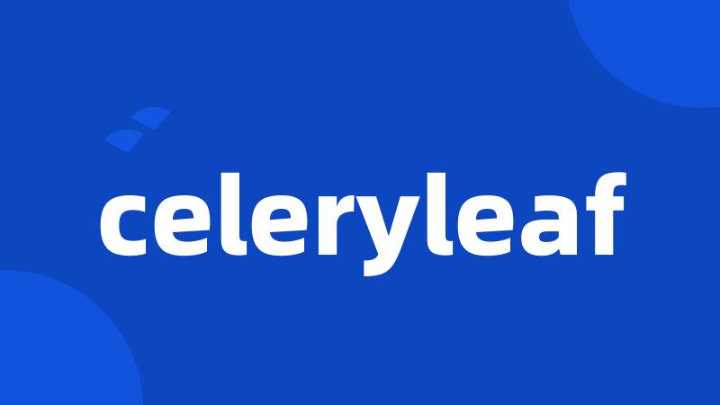 celeryleaf