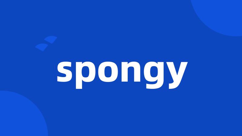 spongy