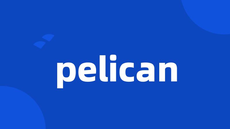 pelican