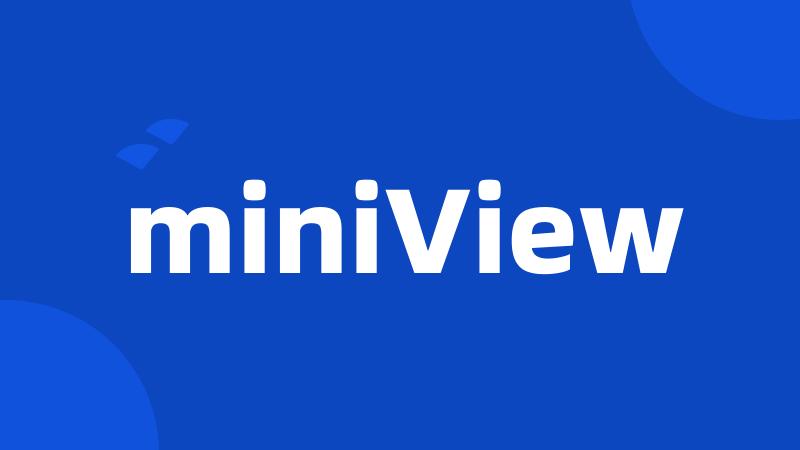 miniView