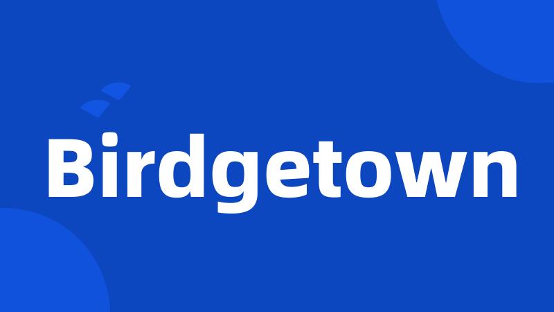 Birdgetown