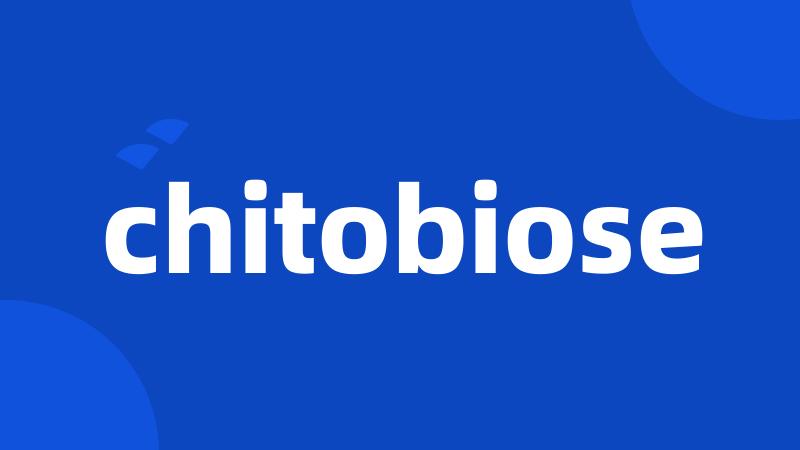 chitobiose