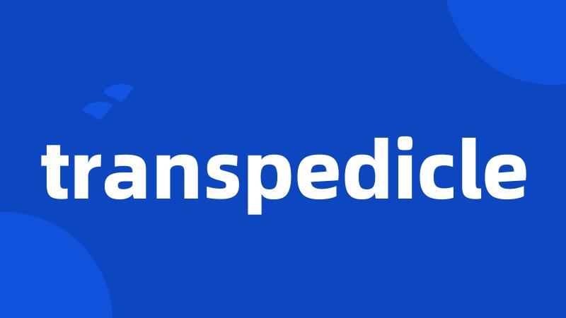 transpedicle