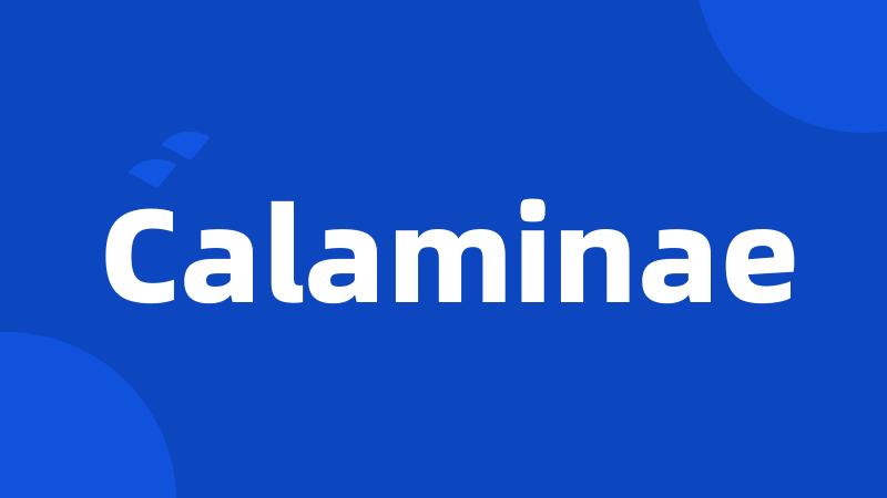 Calaminae