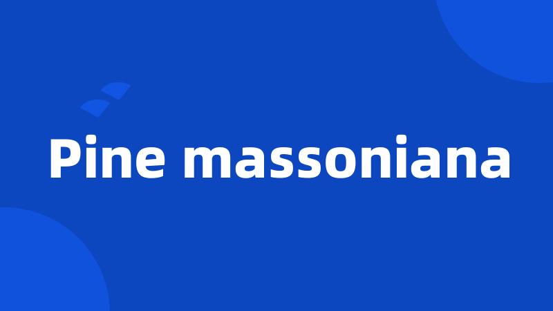 Pine massoniana