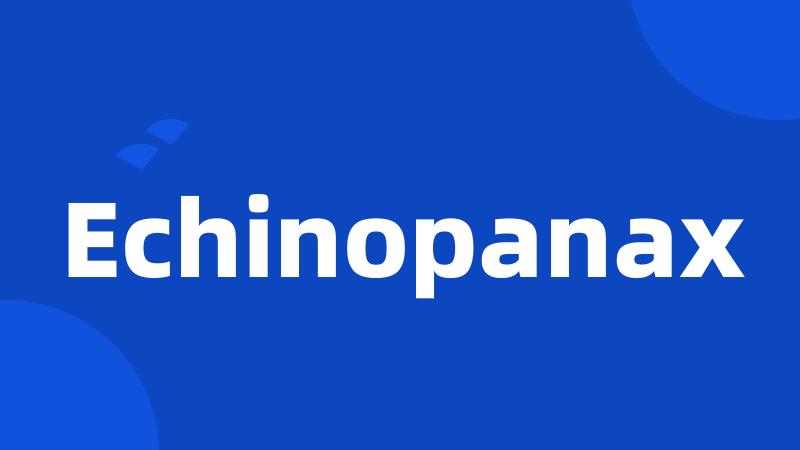 Echinopanax