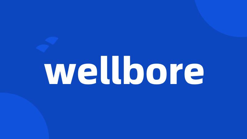 wellbore