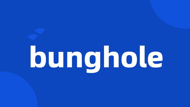 bunghole