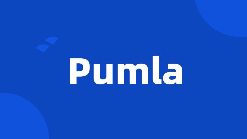 Pumla