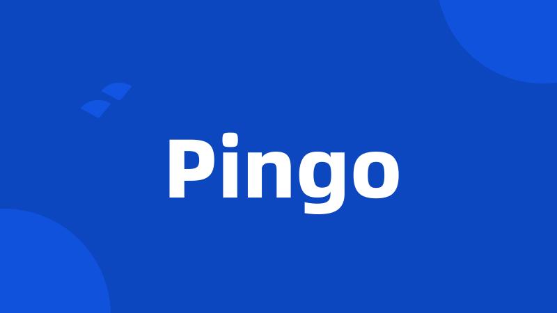 Pingo