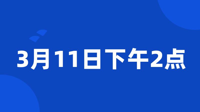 3月11日下午2点