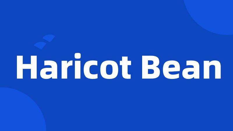 Haricot Bean