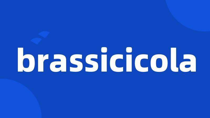 brassicicola