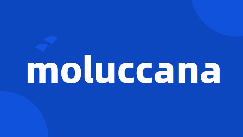 moluccana