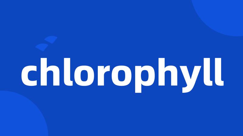 chlorophyll