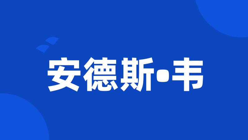 安德斯•韦