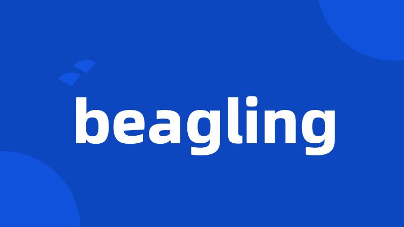 beagling