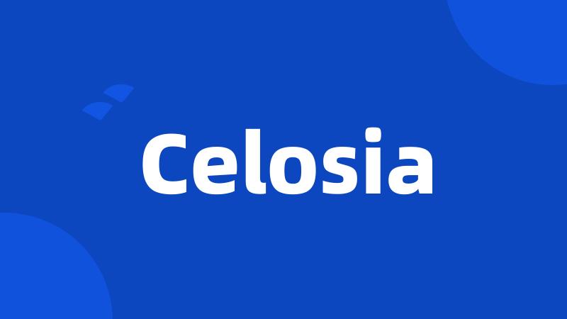 Celosia