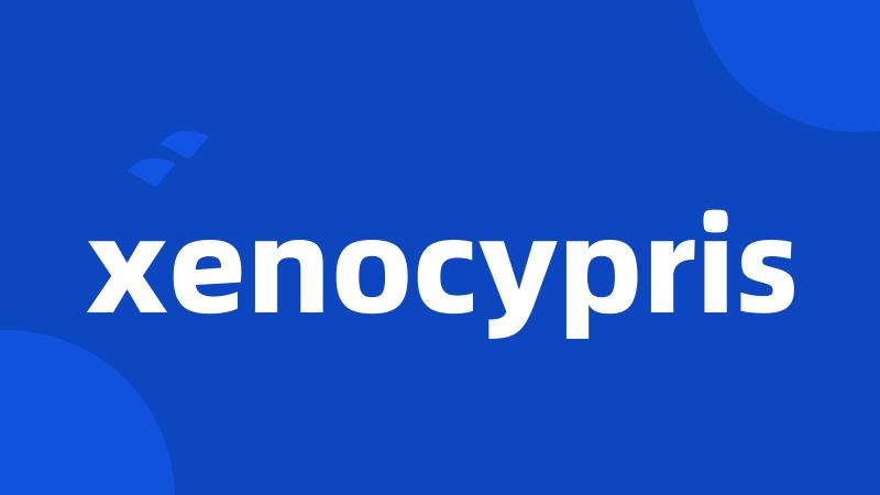 xenocypris