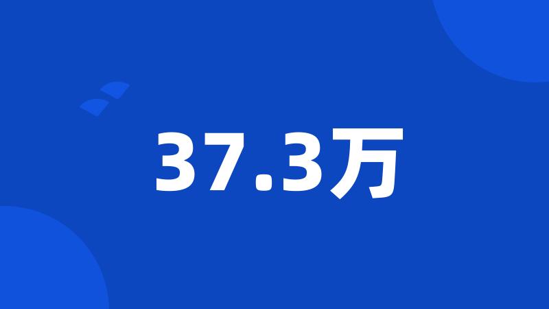 37.3万