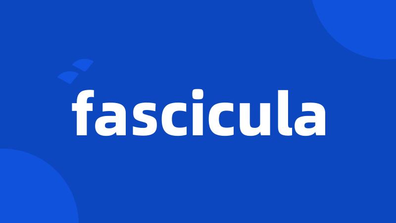 fascicula