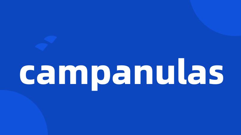 campanulas