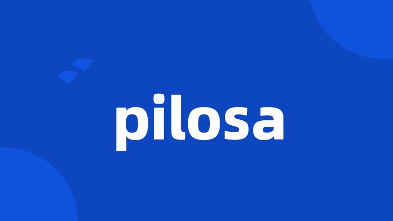 pilosa