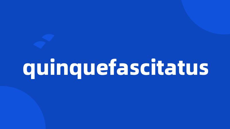 quinquefascitatus