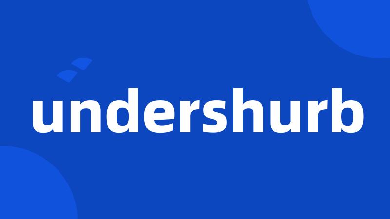 undershurb