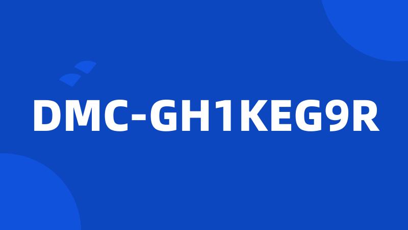 DMC-GH1KEG9R