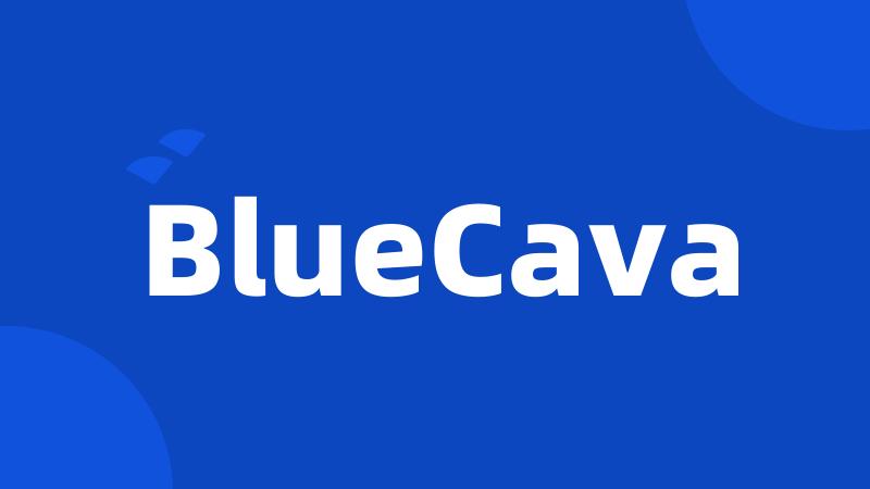 BlueCava