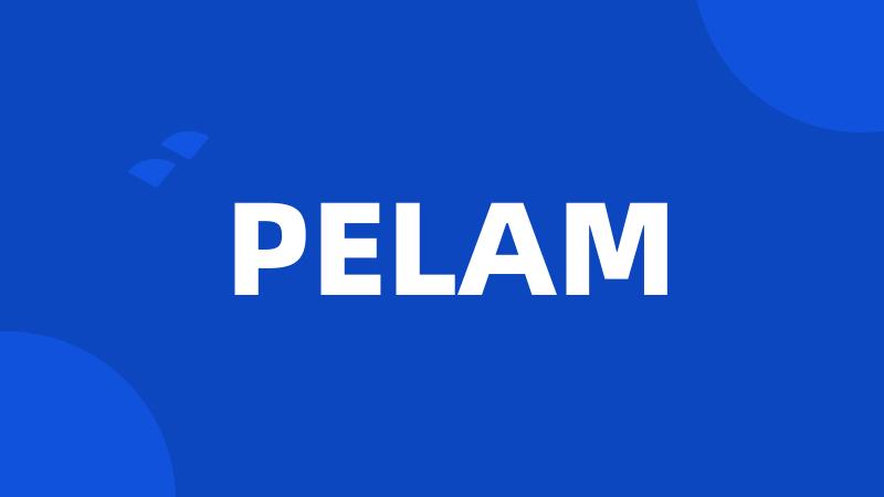 PELAM