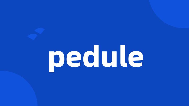 pedule