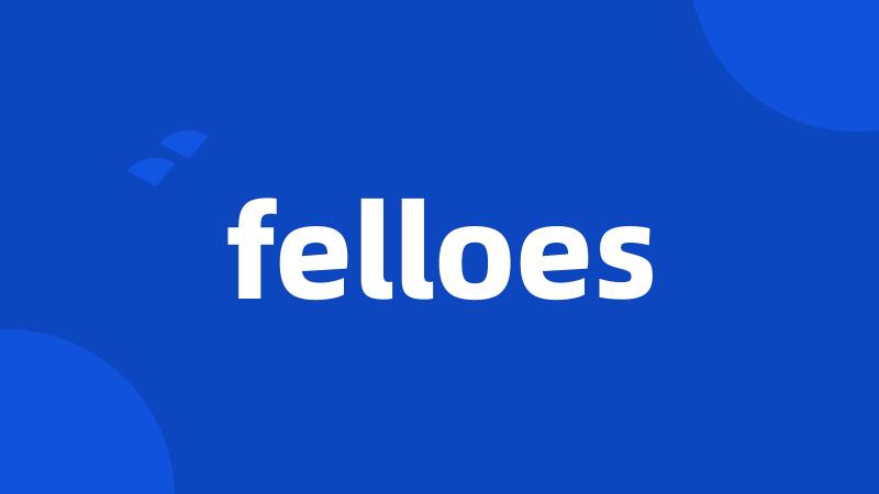 felloes